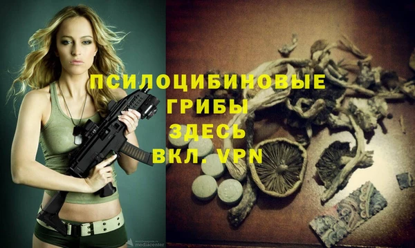 ALPHA PVP Богородск